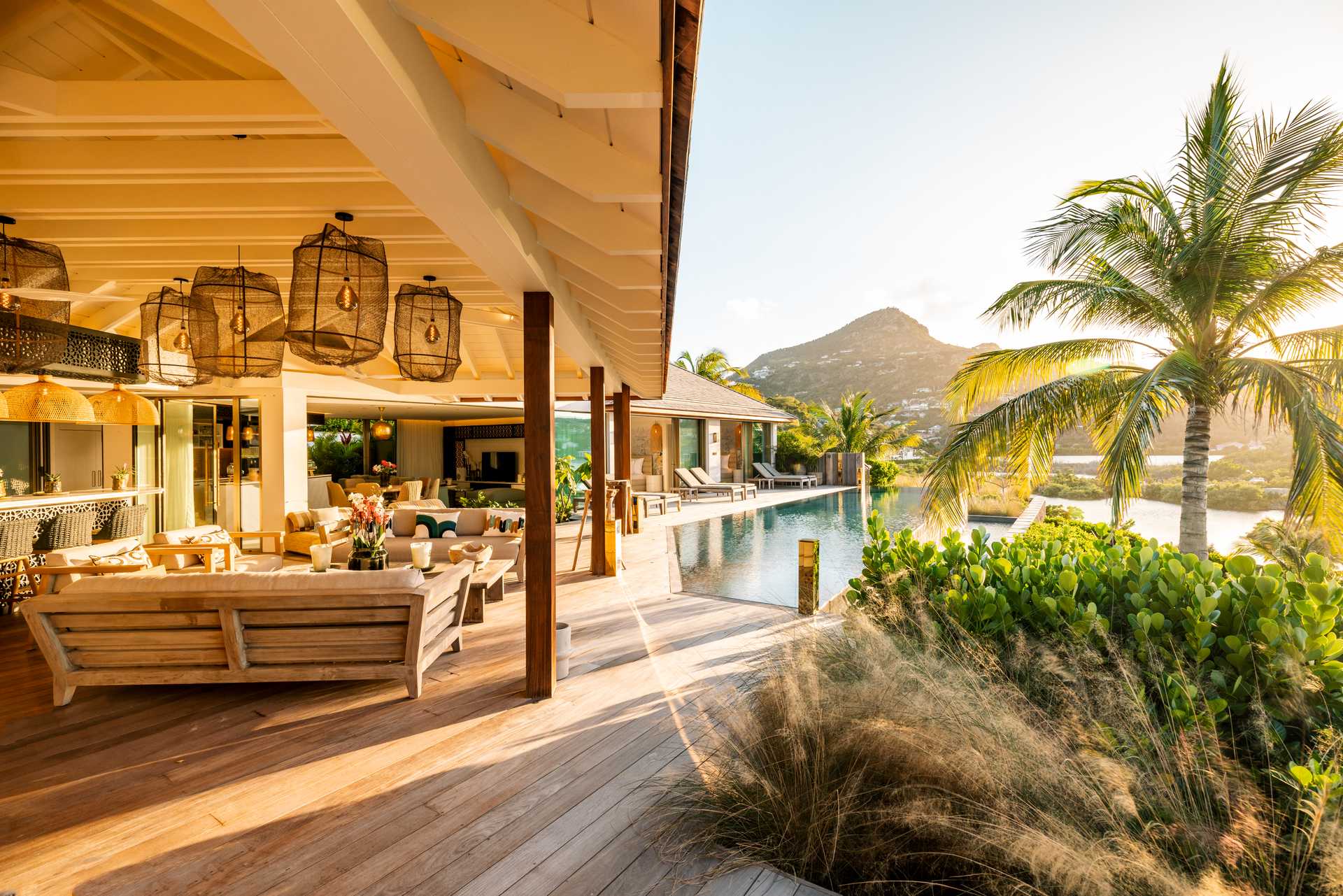 villa palm tree pool deck